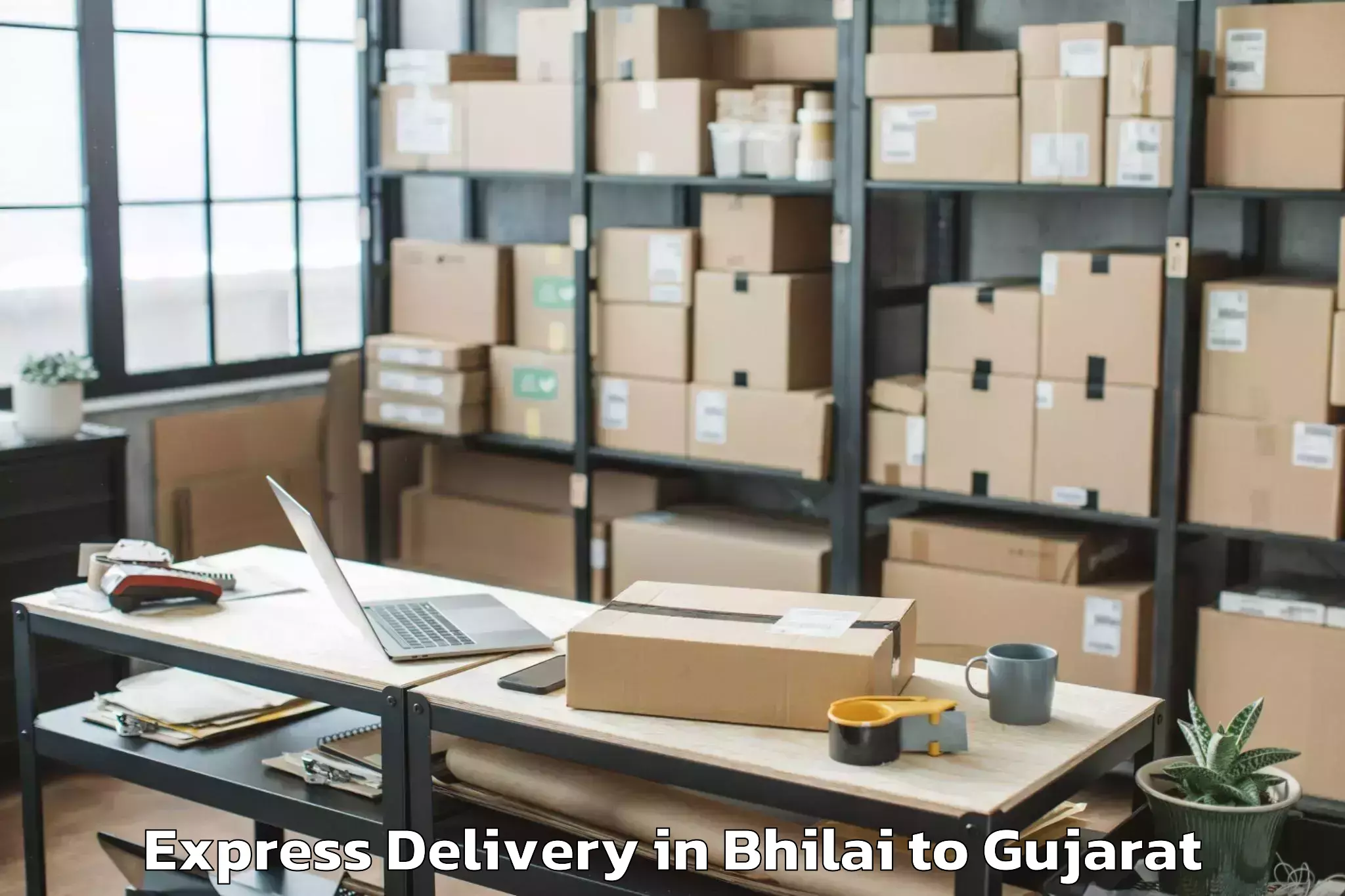 Leading Bhilai to Bodeli Express Delivery Provider